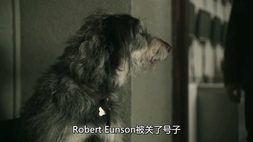 《设得兰谜案第一季》海报第12张图片