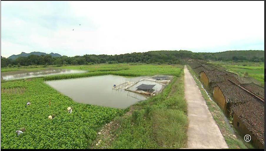 《守业者》剧照