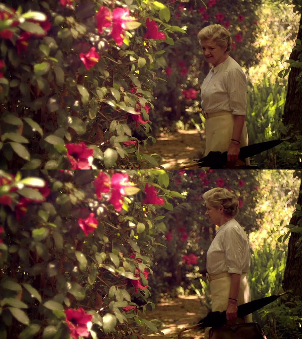 《马普尔小姐探案第六季》剧照第57张图片