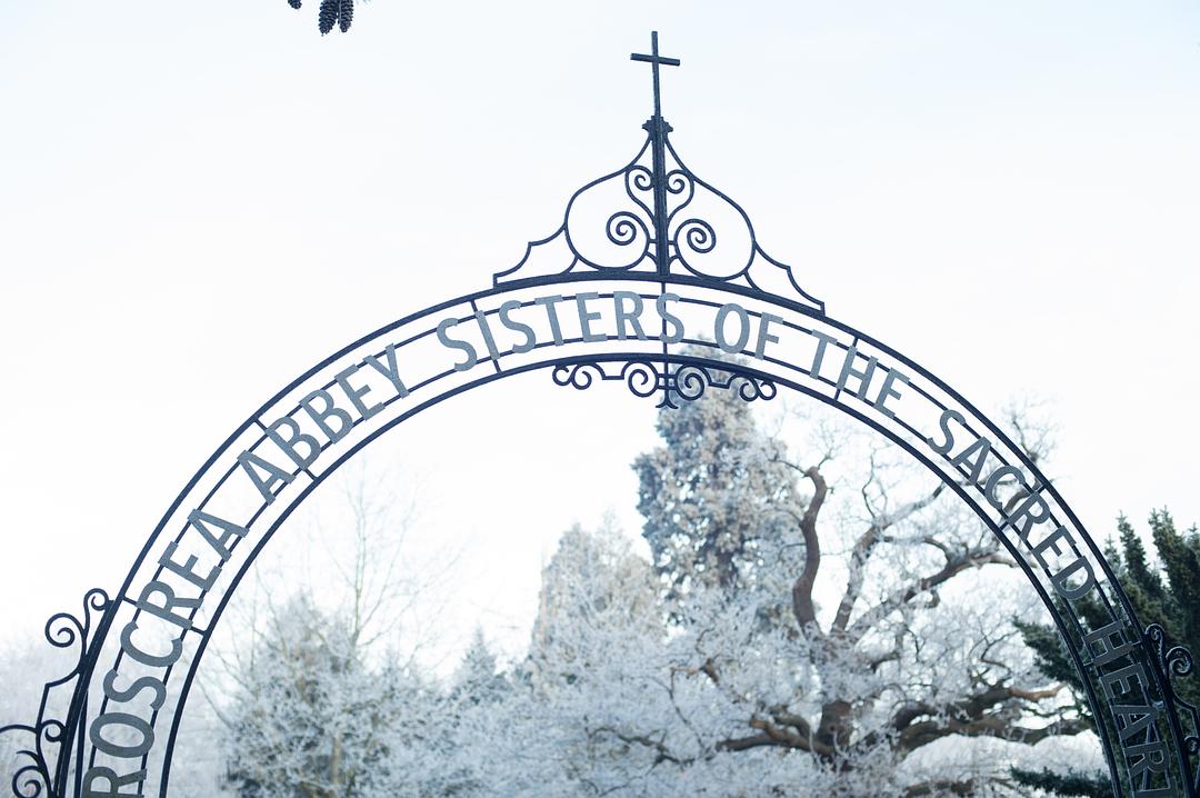 《菲洛梅娜》剧照第15张图片