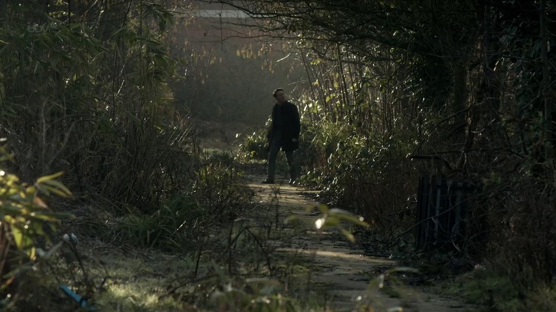 《追影逐凶》海报第25张图片