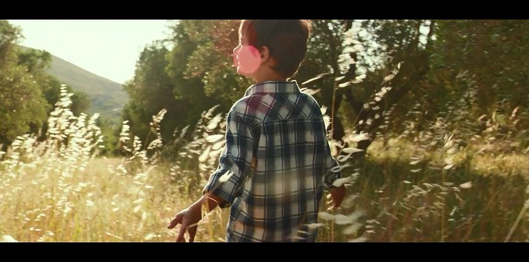 《普罗旺斯的夏天》剧照第53张图片