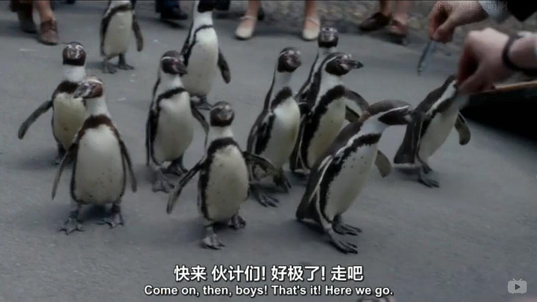 《我们的动物园》剧照第59张图片