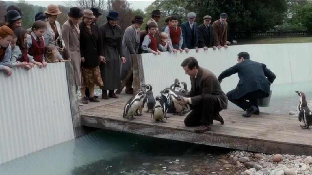 《我们的动物园》剧照第56张图片