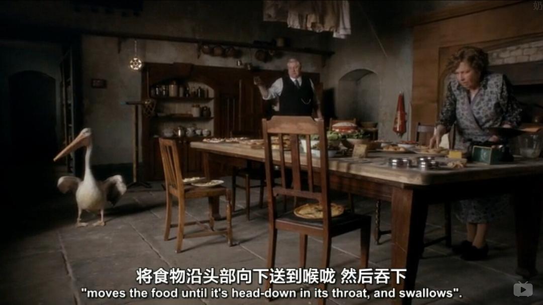 《我们的动物园》剧照第50张图片