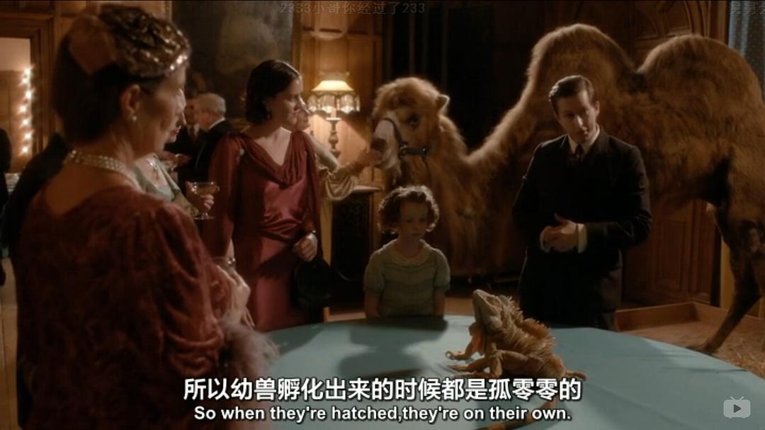 《我们的动物园》剧照第48张图片