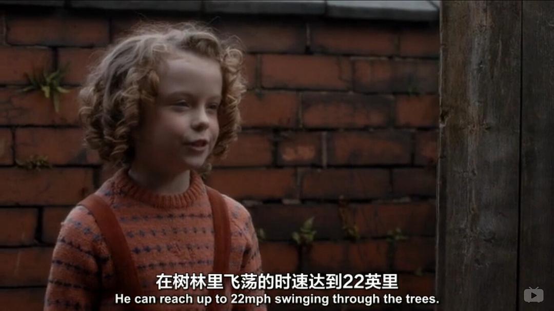 《我们的动物园》剧照第45张图片