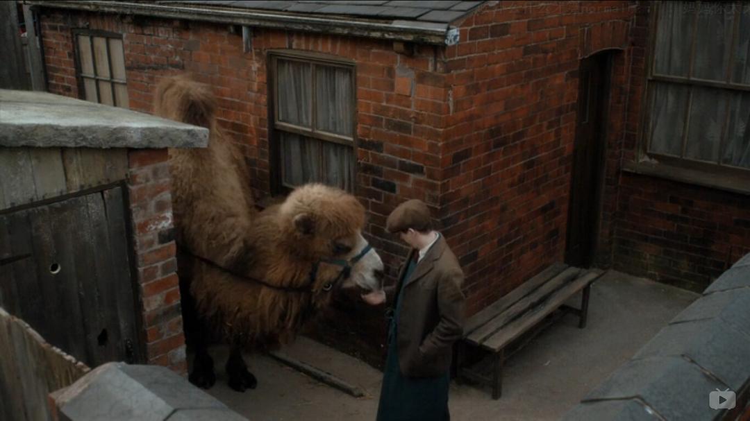 《我们的动物园》剧照第41张图片