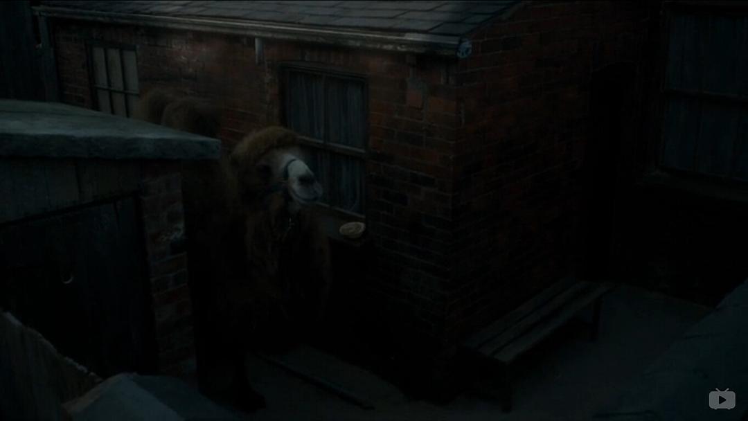 《我们的动物园》剧照第34张图片