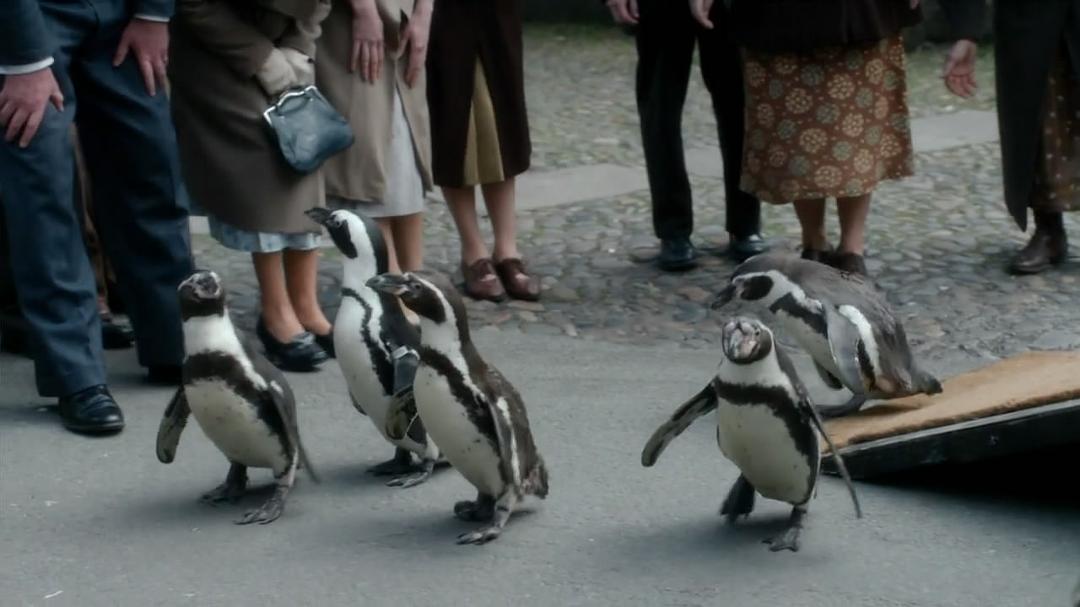 《我们的动物园》剧照第12张图片