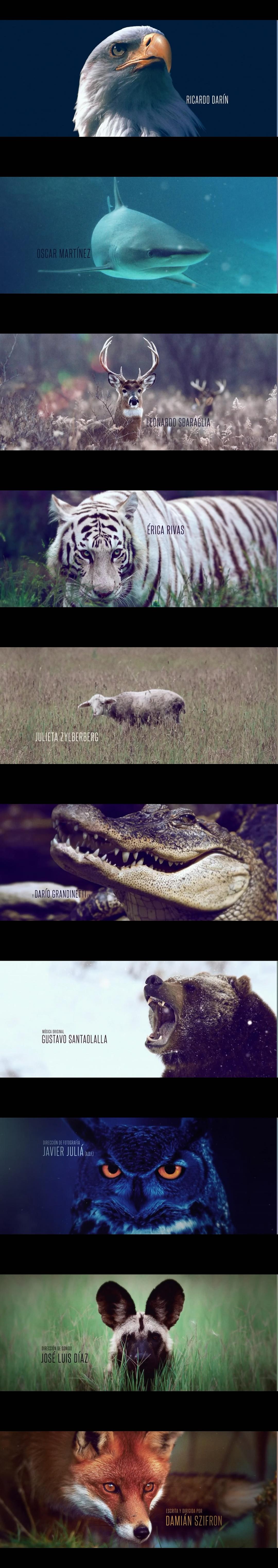 《荒蛮故事》剧照第23张图片