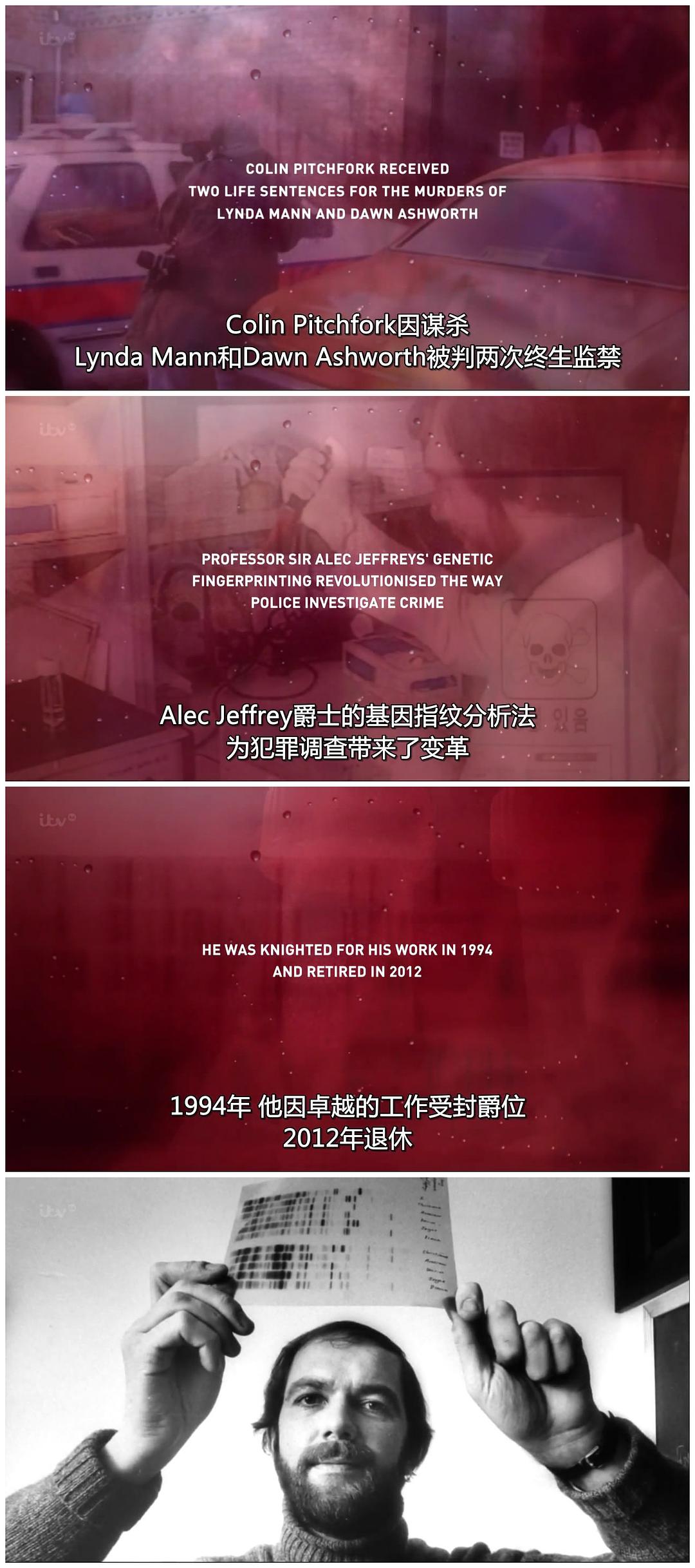 《真凶密码》海报第31张图片