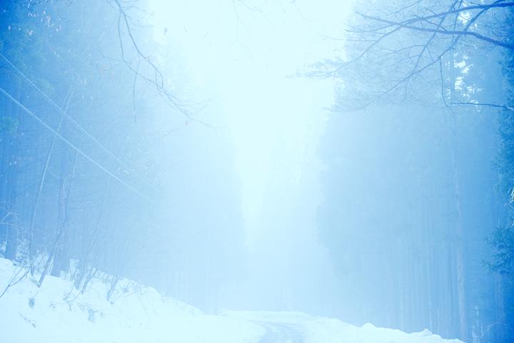 《小森林冬春篇》剧照第28张图片