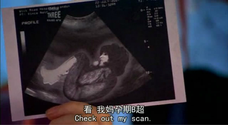 《神奇动物管理员第三季》剧照第11张图片