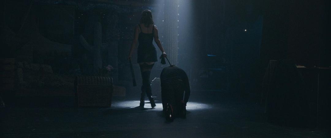 《穿裘皮的维纳斯》剧照第42张图片