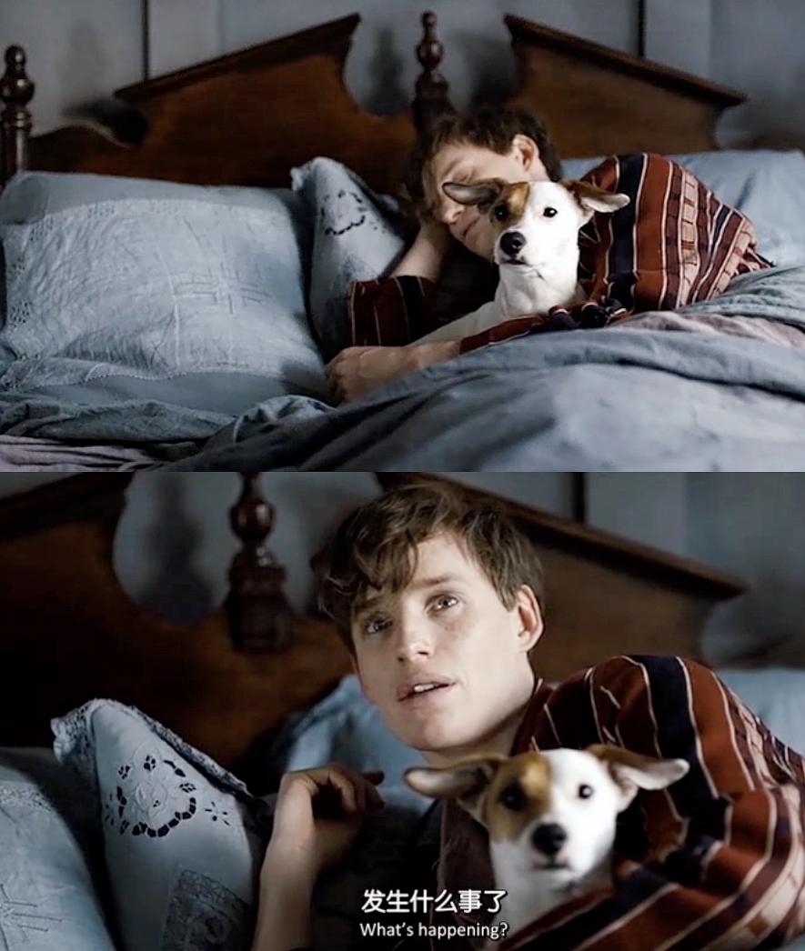 《丹麦女孩》海报第53张图片