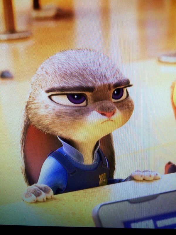 《疯狂动物城》剧照第59张图片