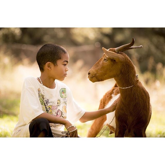 《太阳的后裔》剧照第43张图片