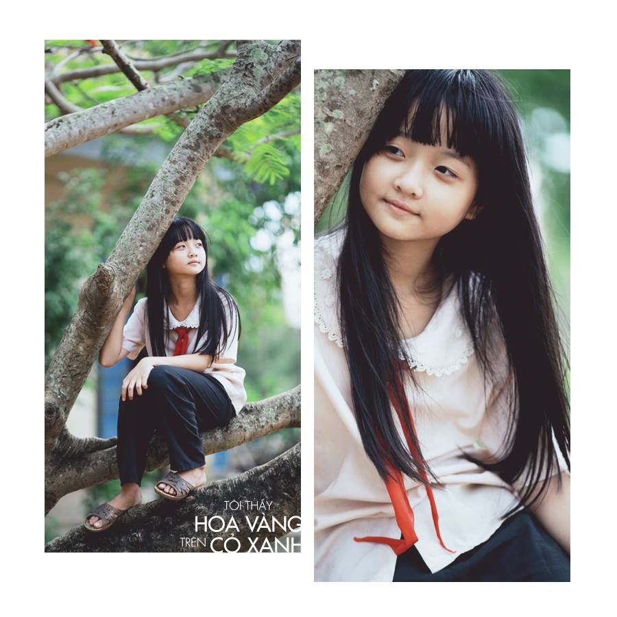 《绿地黄花》海报