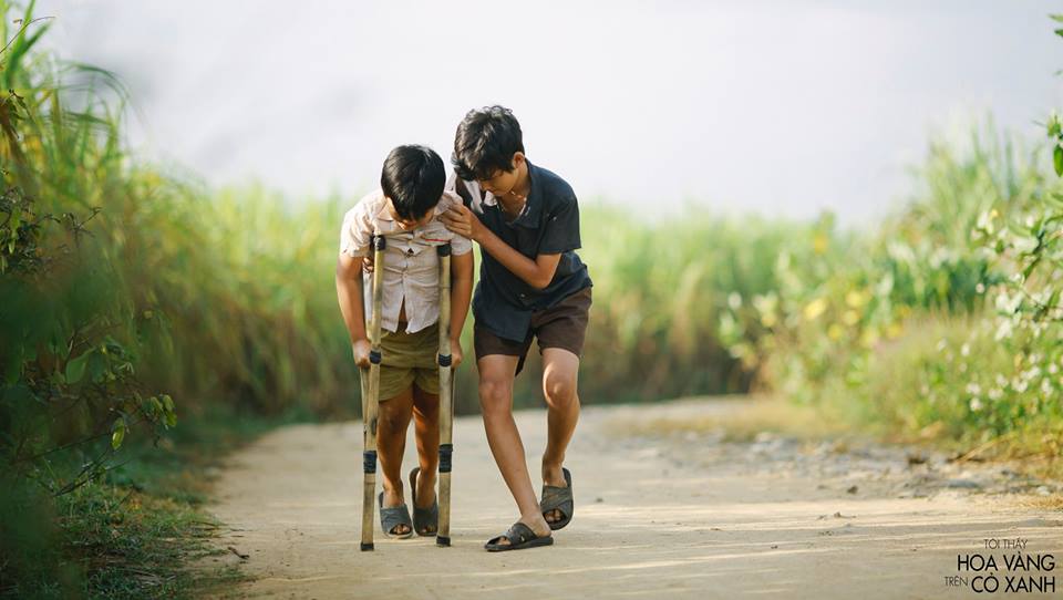 《绿地黄花》海报