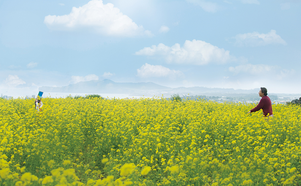 《季春奶奶》海报