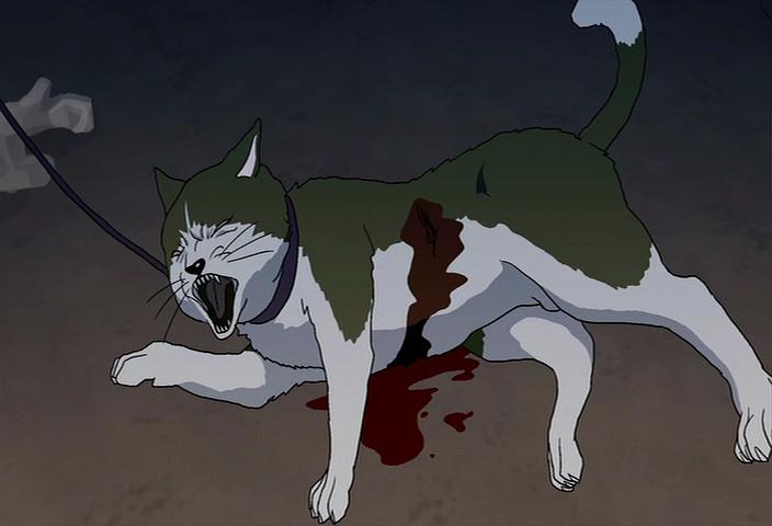 《猪猡之王》海报第25张图片