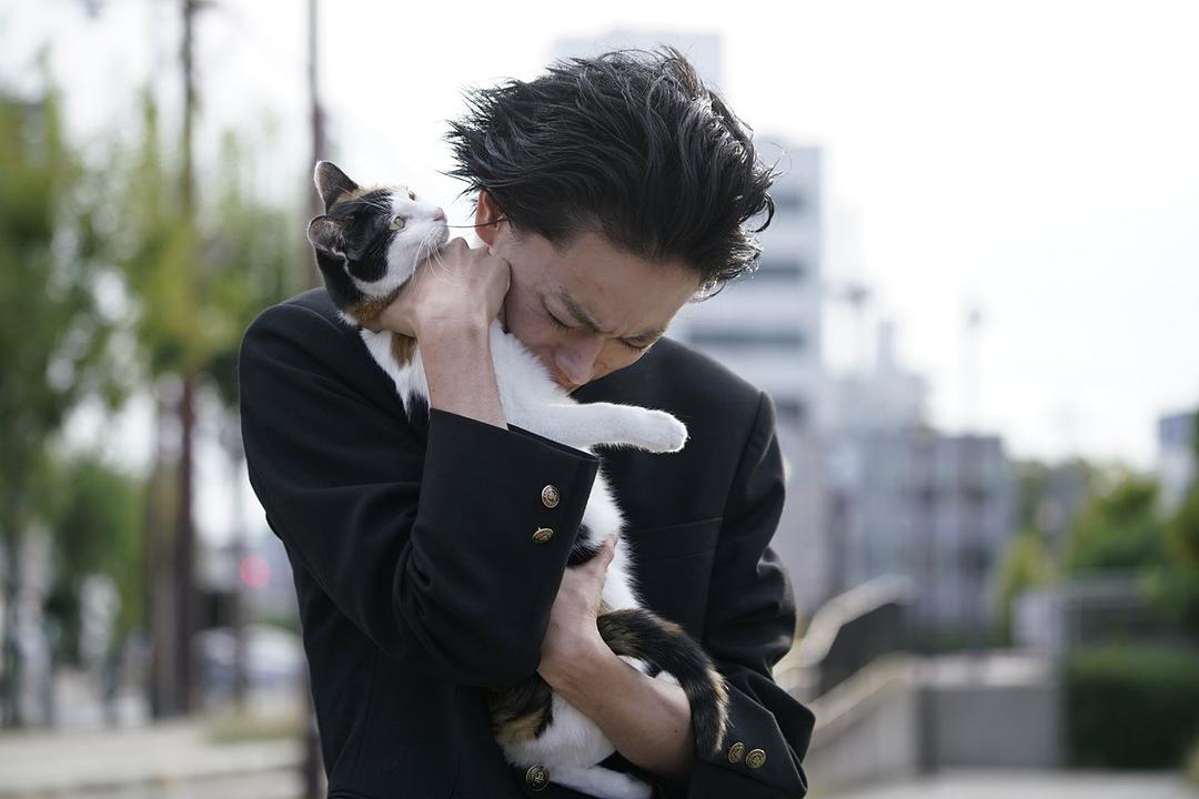 《濑户内海》剧照