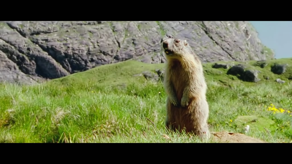 《海蒂和爷爷》剧照第50张图片