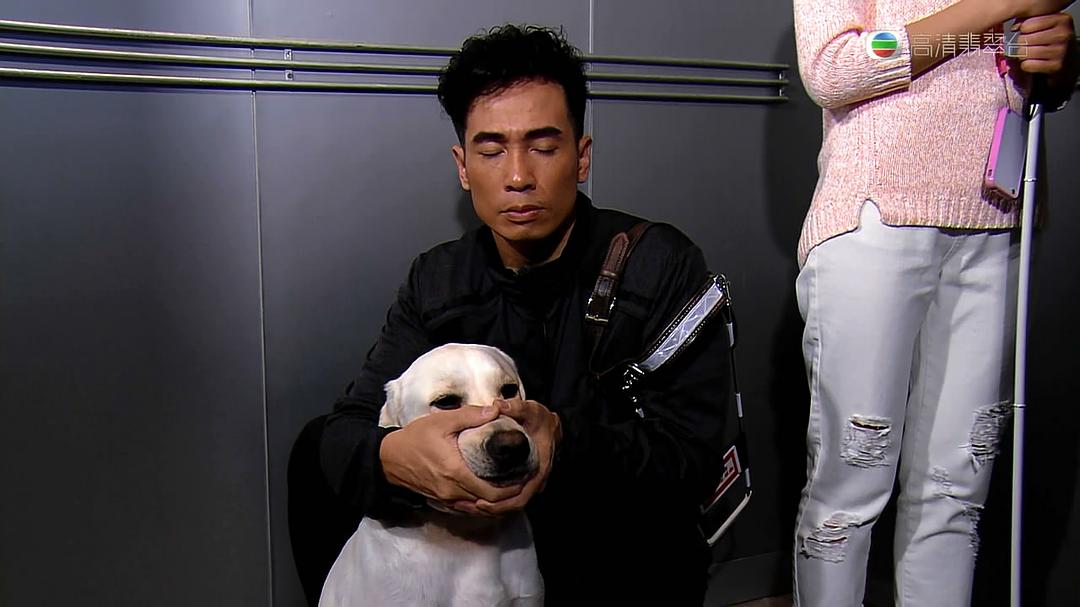 《陪着你走》剧照