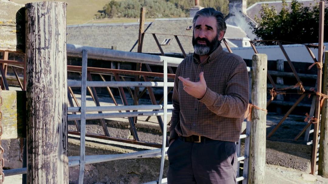 《谁是凶手》海报第15张图片