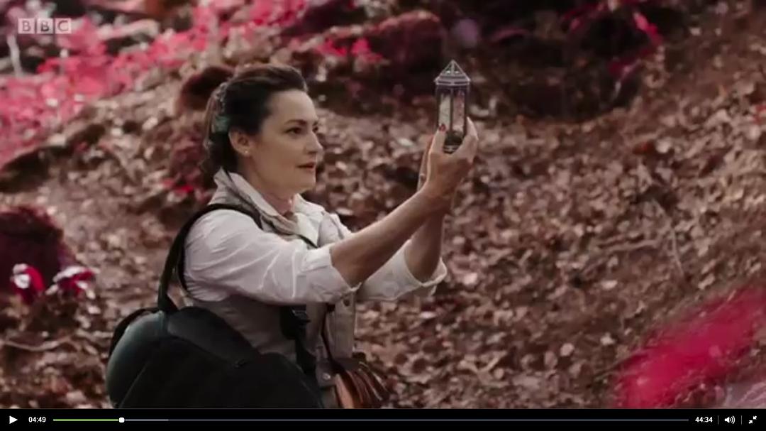 《神秘校园》海报第21张图片