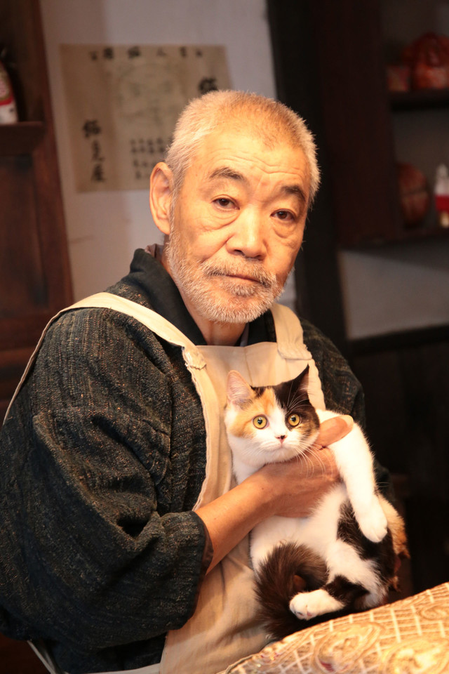 《猫忍》海报第50张图片