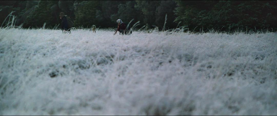 《追捕野蛮人》剧照第31张图片