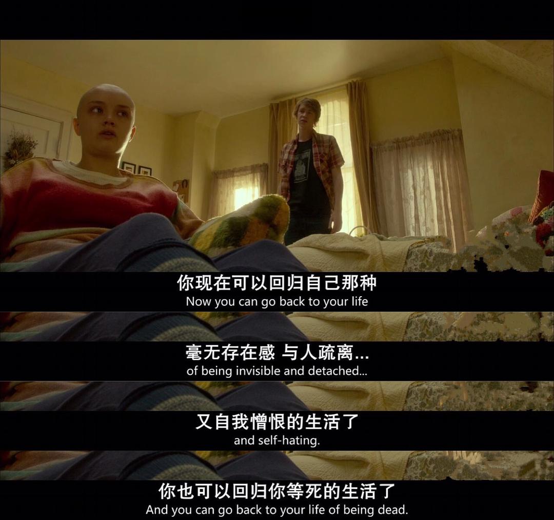 《我和厄尔以及将死的女孩》剧照第40张图片