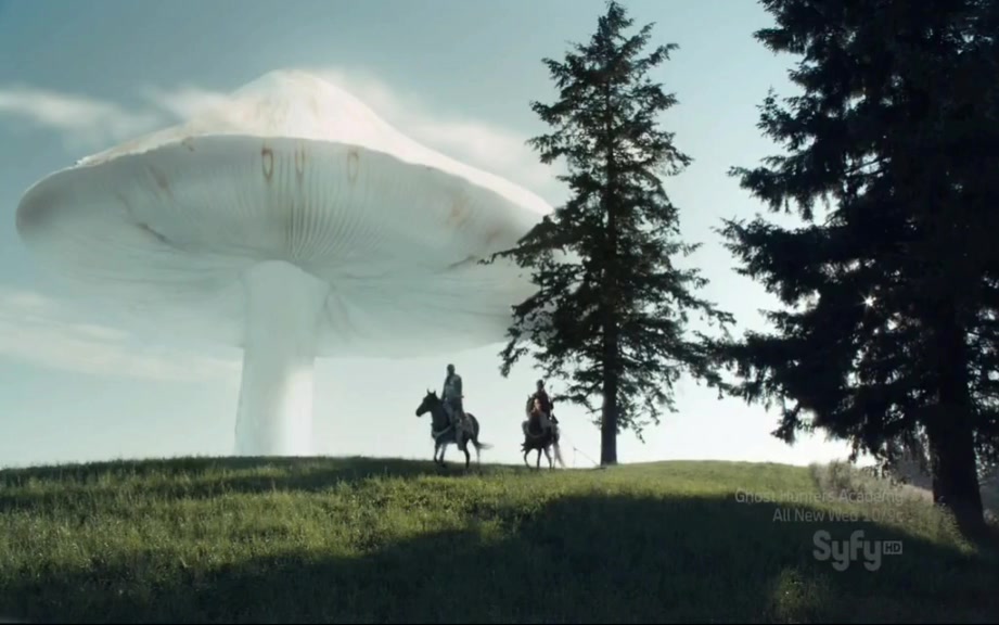 《爱丽丝》剧照第55张图片