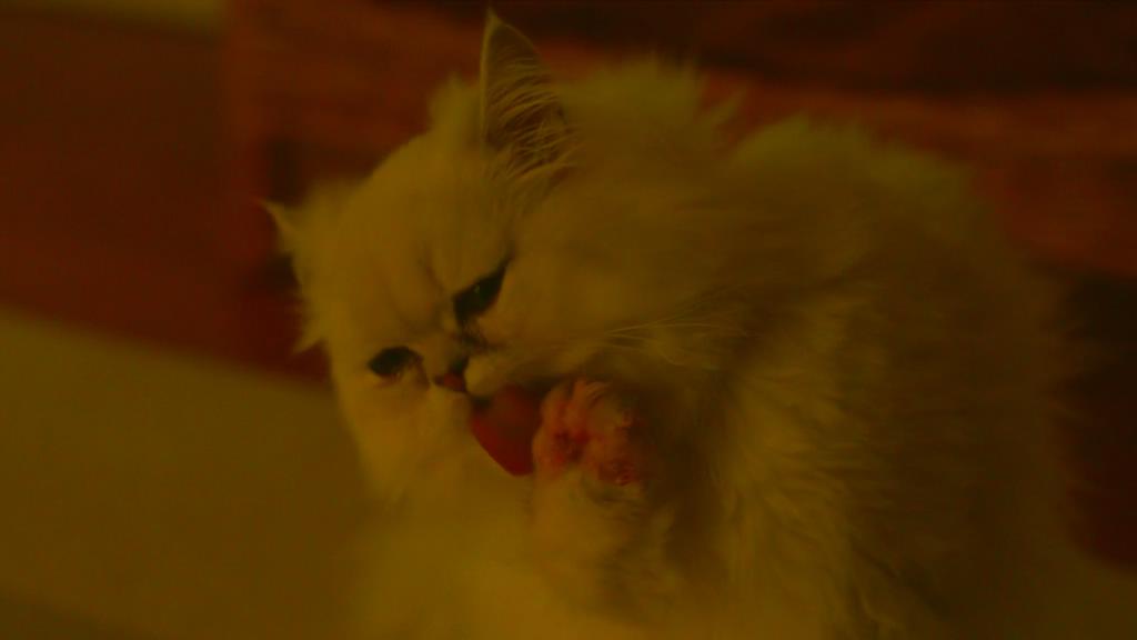 《控方证人》海报第39张图片