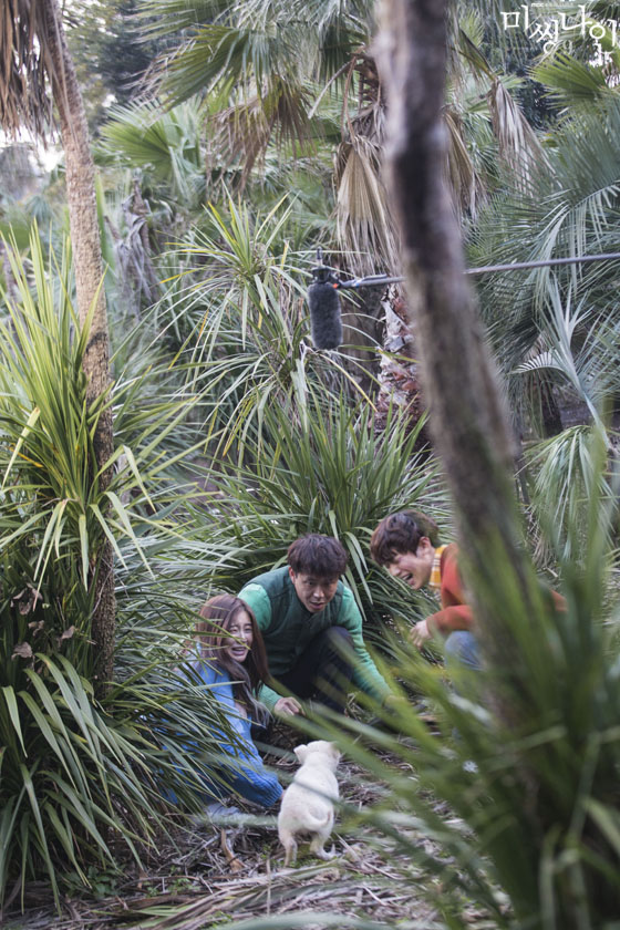 《Missing9》海报第21张图片