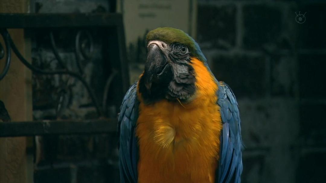 《谎言的战争》剧照第22张图片 《谎言的战争》剧照第22张图片