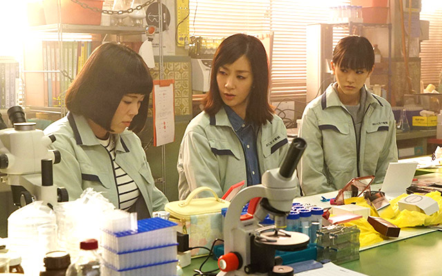 《外貌协会100%》剧照第42张图片