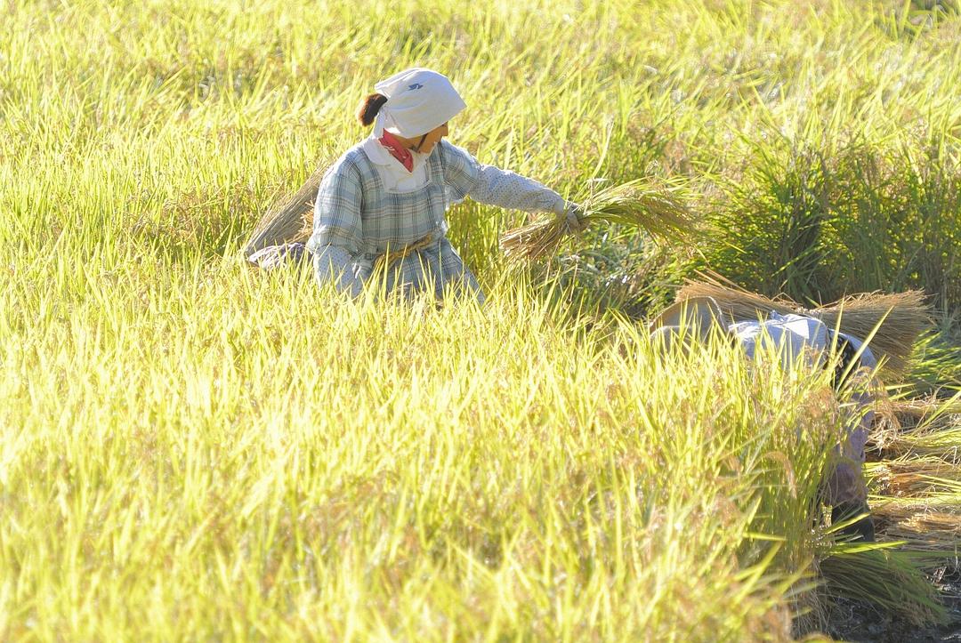 《雏鸟》剧照第40张图片