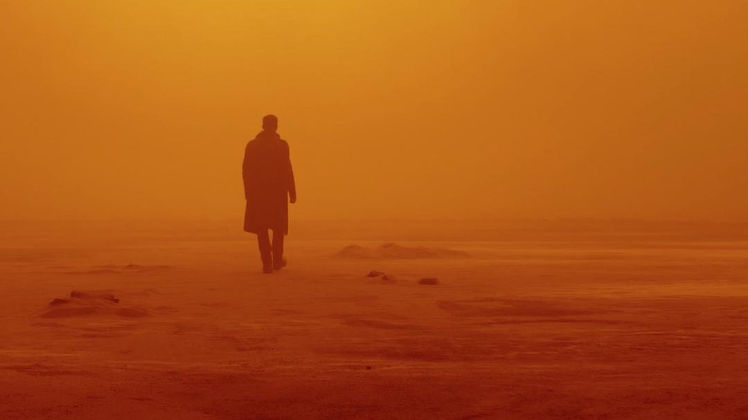《银翼杀手2049》剧照第37张图片