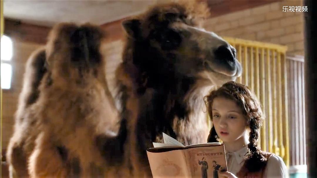 《我们的动物园》剧照