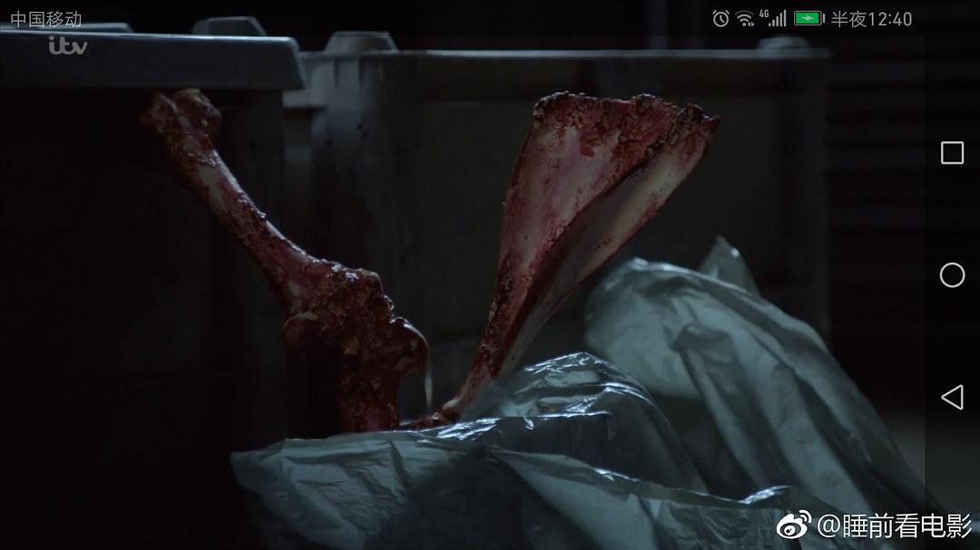 《尼斯湖谜案》剧照第26张图片