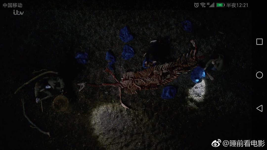 《尼斯湖谜案》剧照第23张图片