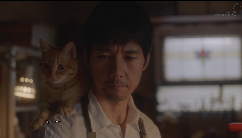 《毛毯猫》剧照第33张图片