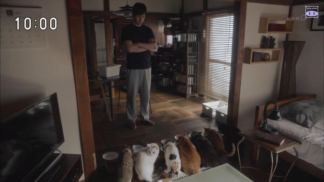 《毛毯猫》剧照第27张图片