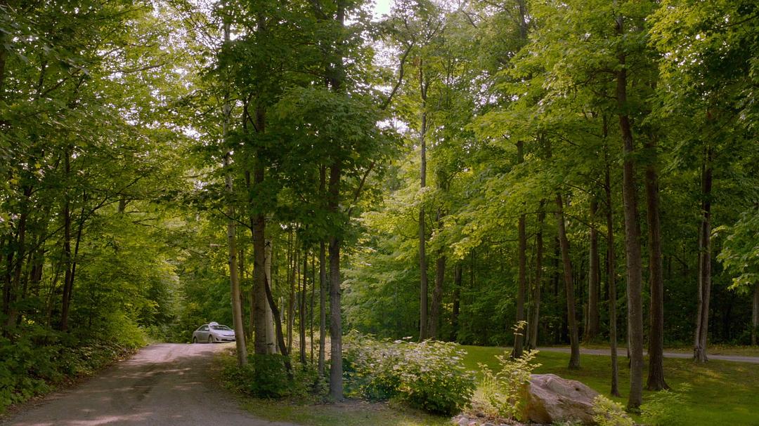 《记住》海报第45张图片