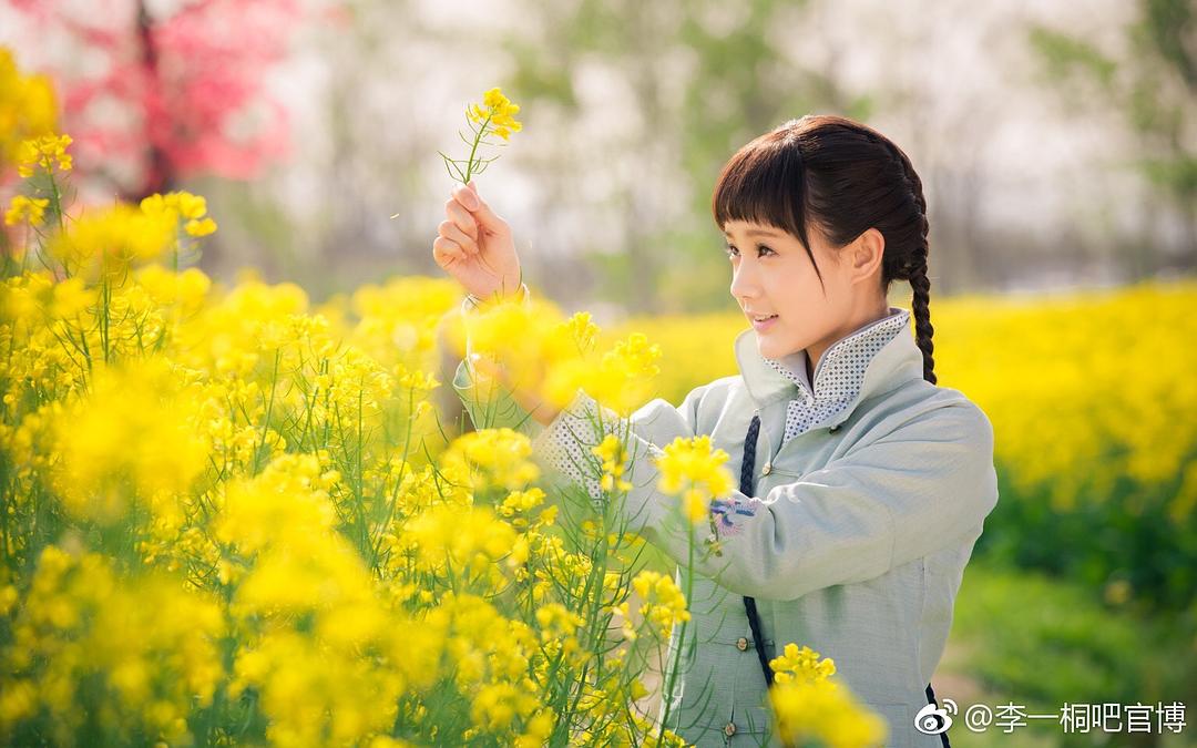 《海棠经雨胭脂透》剧照第27张图片