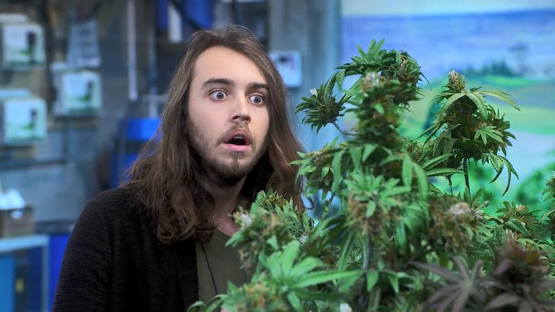 《生活大麻烦》剧照第51张图片