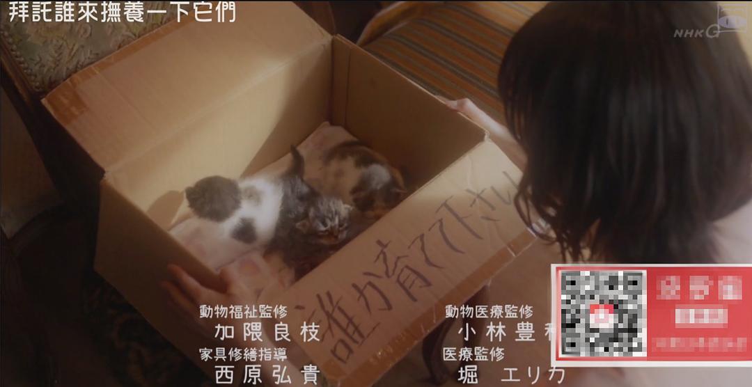 《毛毯猫》剧照第47张图片